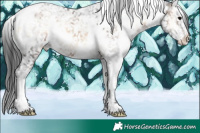 Horse Color:White Spotted Brown Ice Onyx Snowflake Varnish 