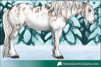 Horse Color:White Spotted Liver Red Onyx Mushroom Sabino Near Leopard 