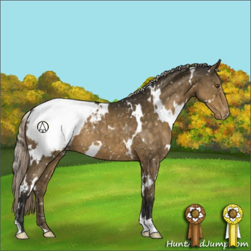 Horse Color:White Spotted Buckskin Appaloosa 
