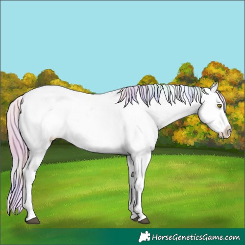 Horse Color:Nacre Palomino Dun Snowcap 