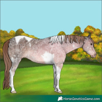 Horse Color:Liver Chestnut Ice Tobiano 