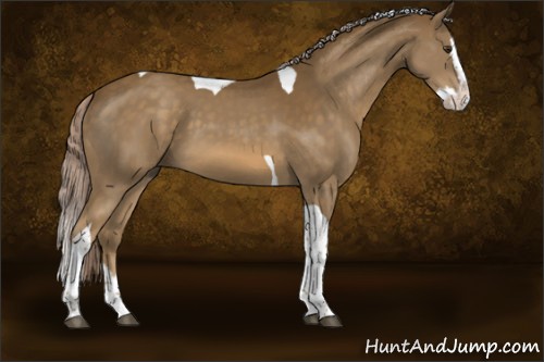 Horse Color:Chocolate Palomino Splash Tobiano 