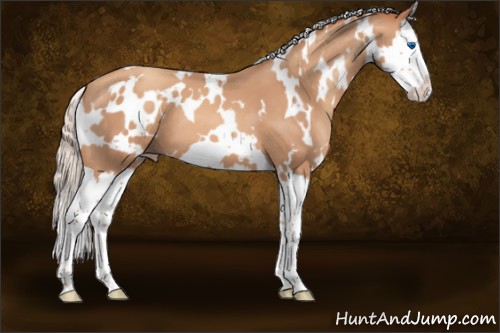 Horse Color:White Spotted Silver Sable Champagne Splash 
