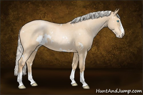 Horse Color:White Spotted Silver Smoky Black Pearl Splash 