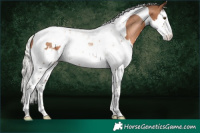 Horse Color:Silver Brown Pearl Splash Tobiano