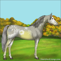 Horse Color:Watercolor Chestnut Ice 