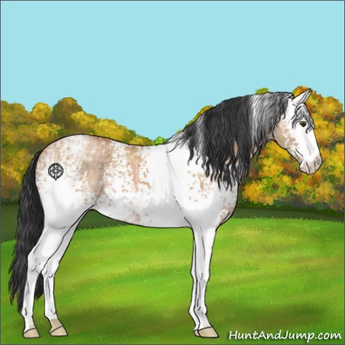 Horse Color:White Spotted Brown Ice Dun 