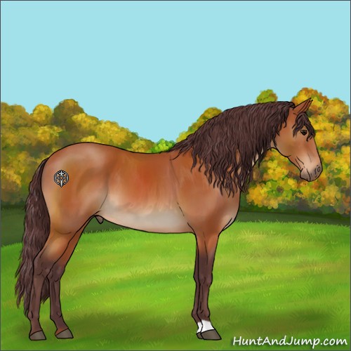 Horse Color:Chocolate Bay 