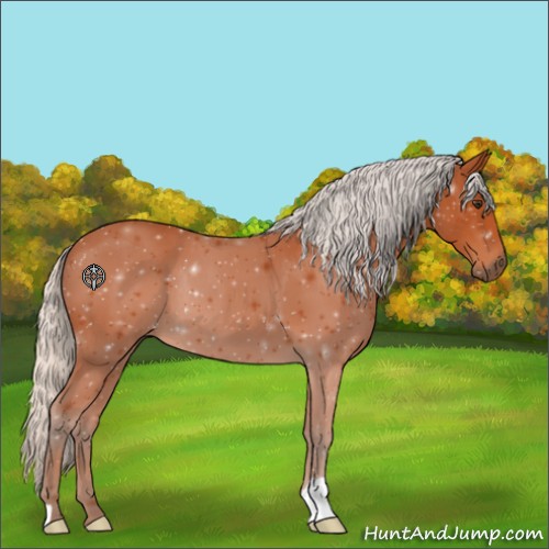 Horse Color:Silver Brown 