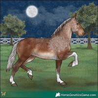 Horse Color:Silver Brown Tobiano 
