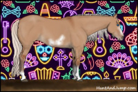 Horse Color:Silver Bay Dun Sabino Tobiano Frame Rabicano