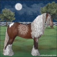 Horse Color:Silver Brown Tobiano