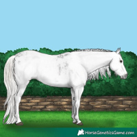 Horse Color:Gray Silver Brown Blanket  and Chocolate Palomino Roan Pearl Varnish 