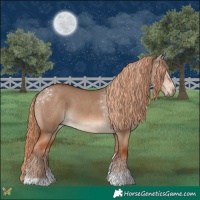 Horse Color:Red Dun Tobiano 