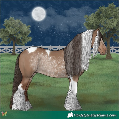 Horse Color:Liver Red Dun Tobiano 