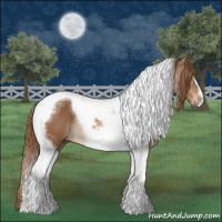 Horse Color:Chestnut Tobiano 