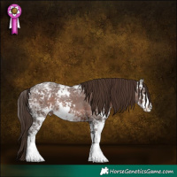 Horse Color:Liver Chestnut Ice Sabino 