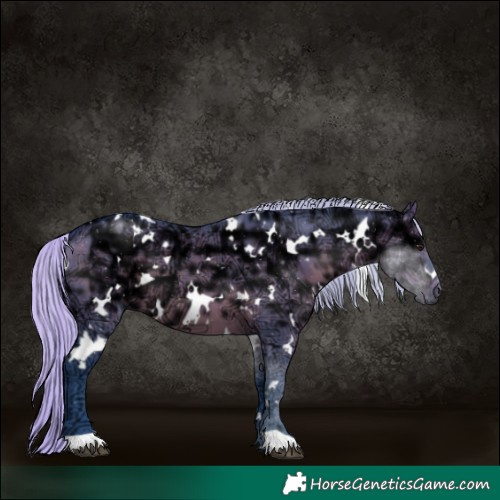 Horse Color:Watercolor White Spotted Silver Brown Ice Dun 