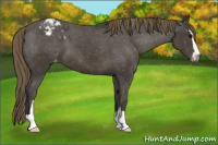 Horse Color:Smoky Black Sabino Varnish 