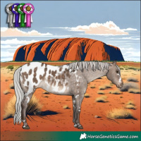 Horse Color:White Spotted Silver Brown Dun Appaloosa 