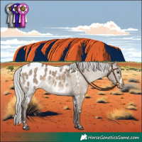 Horse Color:White Spotted Silver Brown Dun Appaloosa 