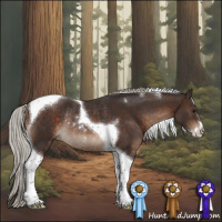 Horse Color:Silver Bay Sabino Tobiano Rabicano 
