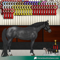 Horse Color:Black Varnish 