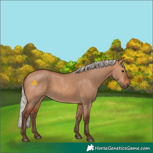 Horse Color:Silver Bay Dun 