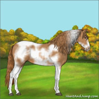 Horse Color:Chestnut Tobiano Frame 