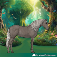 Horse Color:Silver Black 