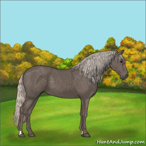 Horse Color:Silver Black 