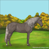 Horse Color:Silver Black 