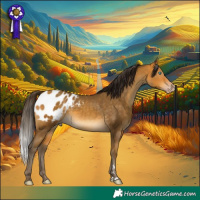 Horse Color:Gray Amber Cream Champagne Appaloosa Rabicano 