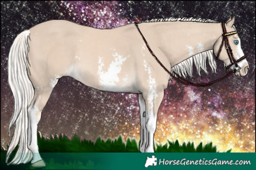 Horse Color:Cremello Sabino and Cremello Sabino Splash