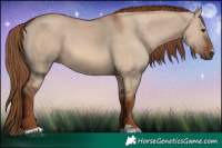 Horse Color:Red Dun 