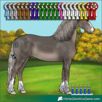 Horse Color:Silver Black 