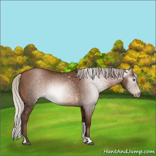Horse Color:Gray Silver Black Pearl Tobiano 