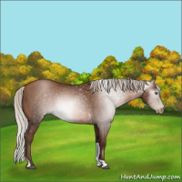 Horse Color:Gray Silver Black Pearl Tobiano