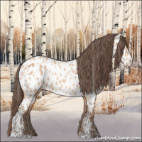 Horse Color:Amber Champagne Near Leopard  and Amber Champagne Frame Near Leopard 