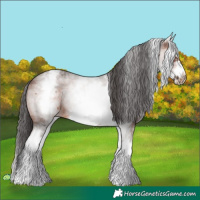 Horse Color:White Spotted Brown Roan Frame 