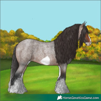 Horse Color:White Spotted Brown Roan Frame 