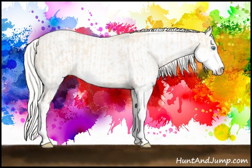 Horse Color:Cremello Sabino and Cremello Sabino Rabicano