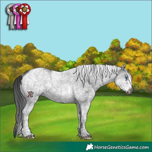 Horse Color:White Spotted Black Frame