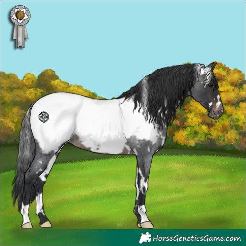 Horse Color:White Spotted Brown Roan Appaloosa 
