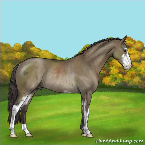 Horse Color:Smoky Grullo Sabino Rabicano 