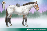 Horse Color:Buckskin Roan Appaloosa Rabicano 