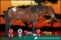 Horse Color:Brown Snowcap 