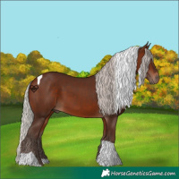 Horse Color:Silver Bay Tobiano 