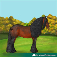 Horse Color:Brown 