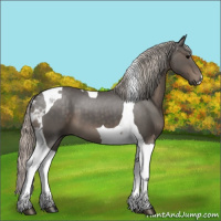 Horse Color:Silver Black Tobiano